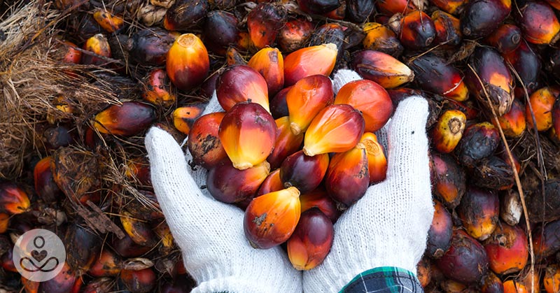 Do You Know All the Hidden Names of Palm Oil?