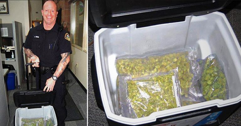 A Goodwill Center in Washington Received a Cooler Filled With $24K worth of Pure Pot - Featured image