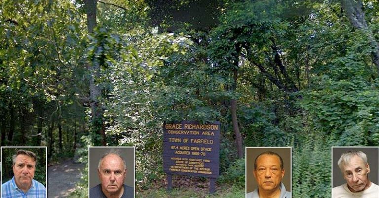 Five elderly men and an 85-year-old woman ‘arrested for public sex’ - Featured image