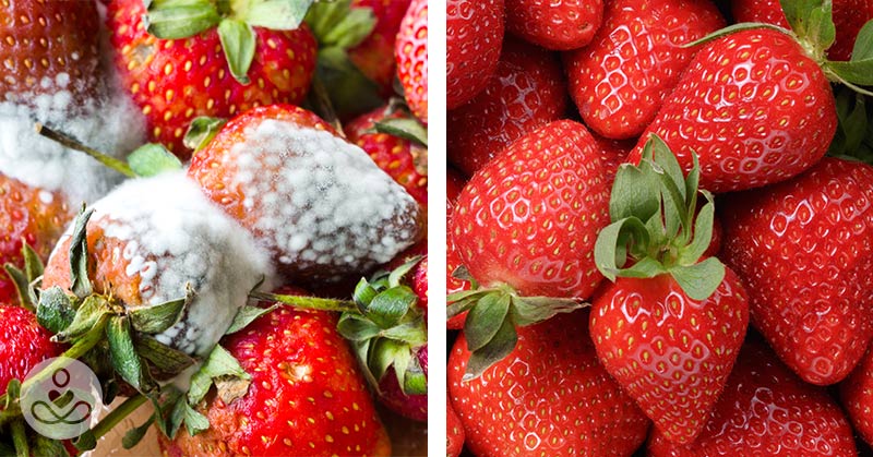 10 Hacks to Keep Your Produce Fresh