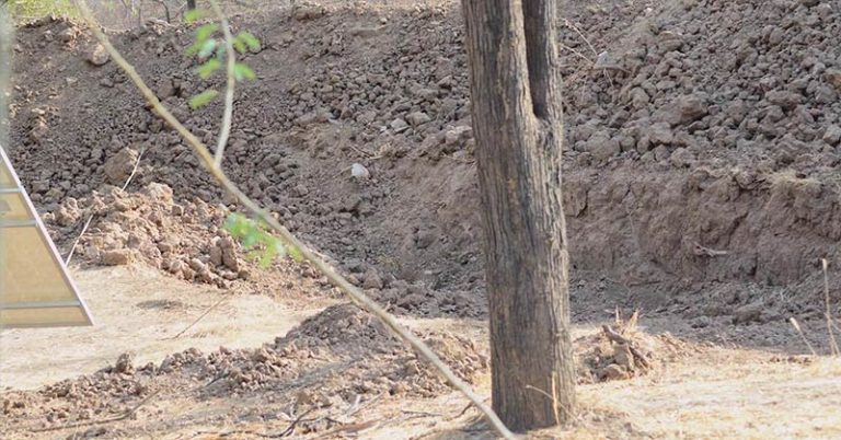 There’s Supposed to Be a Leopard in This Picture and Some of Us Have Gone Crazy Trying to Find It - Featured image