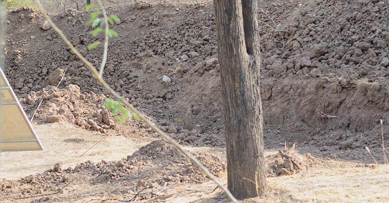 There’s Supposed to Be a Leopard in This Picture and Some of Us Have Gone Crazy Trying to Find It - Featured image