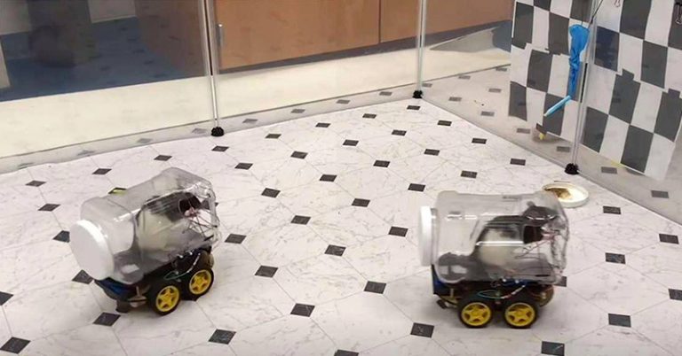 Teaching Rats To Drive Tiny Cars Helps Them Relax, Scientists Discover - Featured image