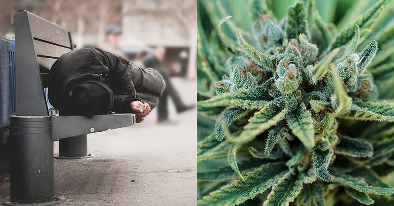Colorado City Used $7.3 Million From Marijuana Tax Revenue to Provide for the Homeless