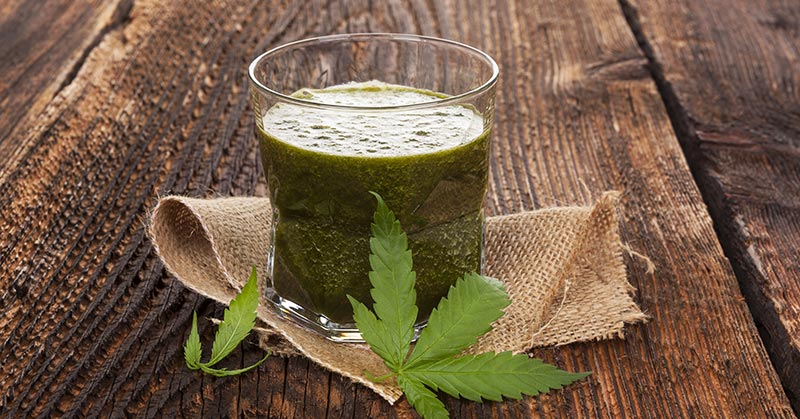 The Potential Health Benefits Of Juicing Cannabis
