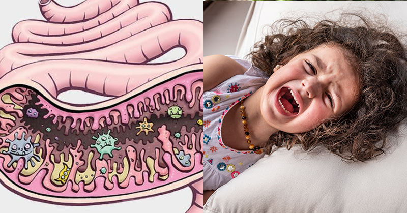 Gut Bacteria and Your Kid’s Behavior: Research Sheds Light on a Link