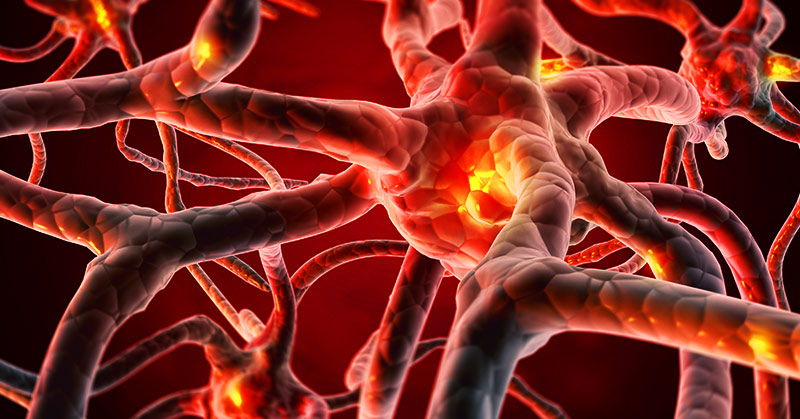 “The Brain Needs Animal Fat,” Psychiatrist Says