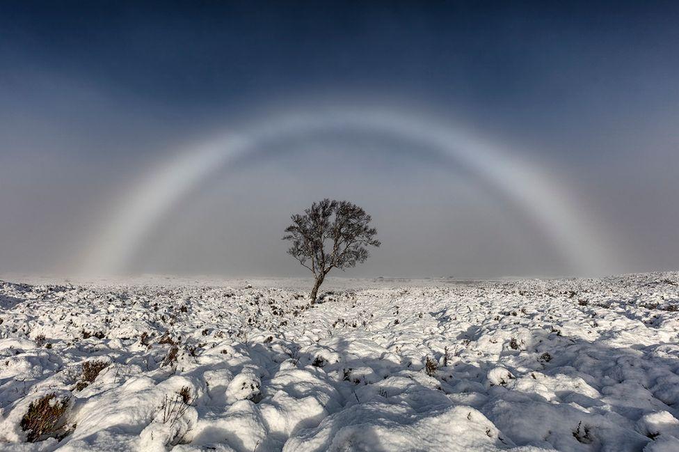 white rainbow