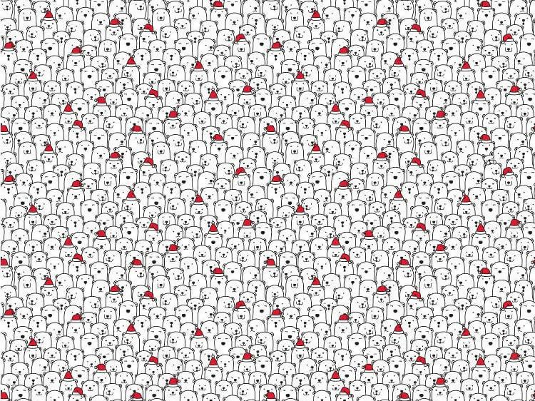 dog and panda brainteaser