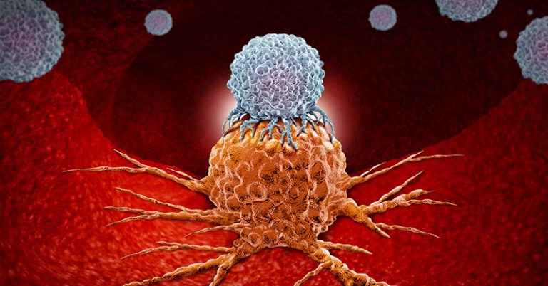 Treatment Triggers Self-Destruction of Pancreatic Cancer Cells Within a Month - Featured image