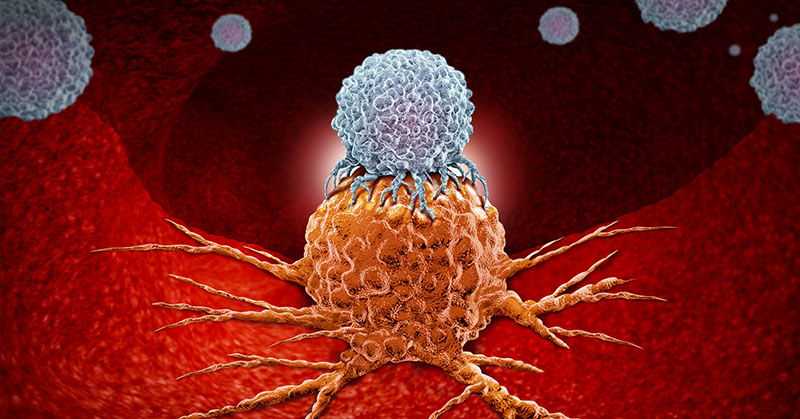 Treatment Triggers Self-Destruction of Pancreatic Cancer Cells Within a Month