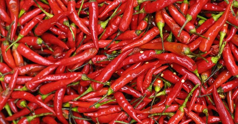 Eating chilies cuts risk of death from heart attack and stroke, study says - Featured image
