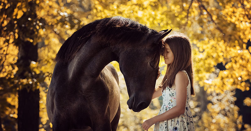 Study: Horses Are Able To Understand Human Emotions