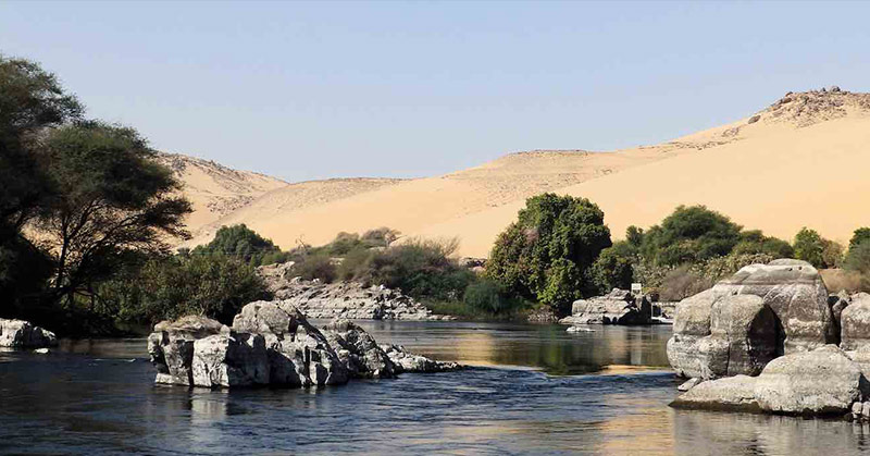 Scientists Use Recycled Sewage Water to Grow a Forest in the Middle of a Desert