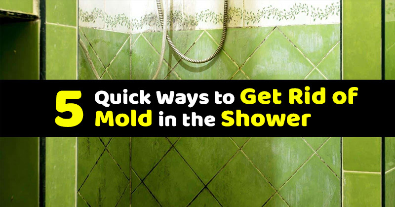 5 Great DIY Recipes to Fight Stubborn Household Mold