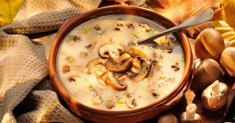 9 Satisfying Mushroom Soup Recipes To Keep You Warm All Winter