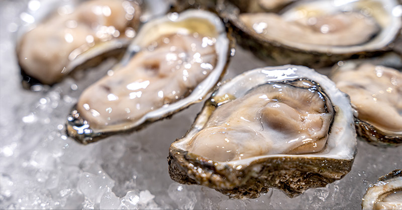 I Just Learned That Raw Oysters Are Still Alive When You Eat Them