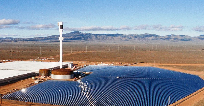 Desert Farm Grows 17,000 Tons of Food without Soil, Pesticides, Fossil Fuels or Groundwater