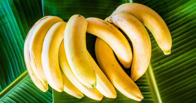 27 Foods That Can Give You More Energy
