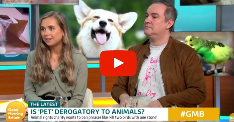 PETA Wants You To Stop Saying The Word ‘Pet’ Because It’s ‘Offensive to Animals’