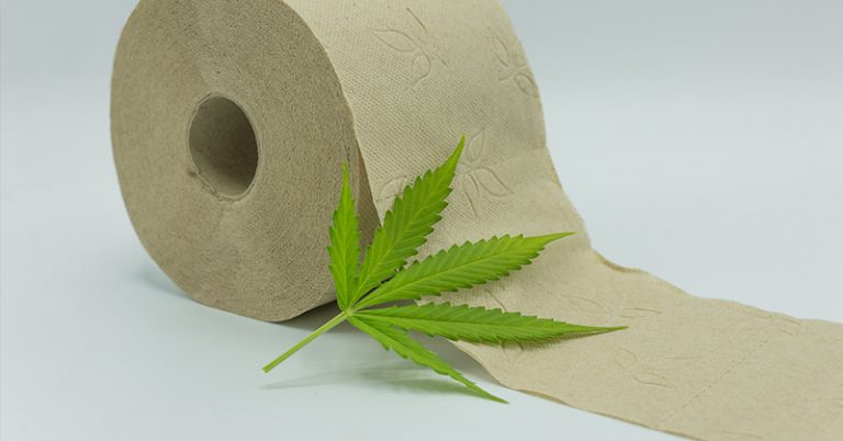 Why Hemp Toilet Paper Is An Eco Friendly Alternative To Tree-Based Tissues - Featured image