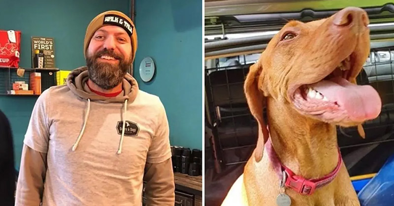 Guy Sets Up A Dog-Walking Group For Men Who Need A Companion To Open Up About Their Problems - Featured image