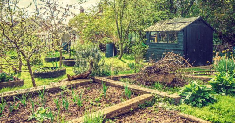 One-Acre Permaculture Garden Helps Feed 50 Families - Featured image