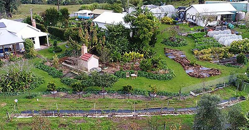 permaculture garden