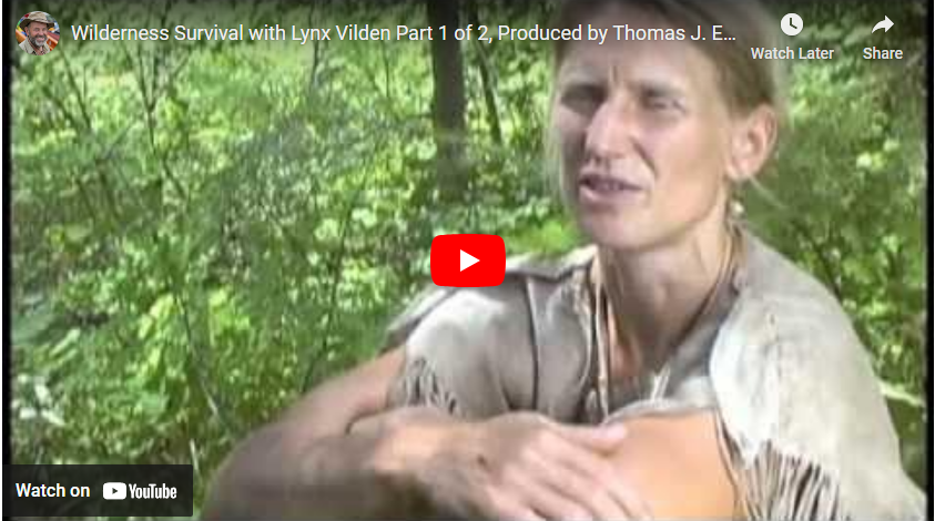 Lynx Vilden video 