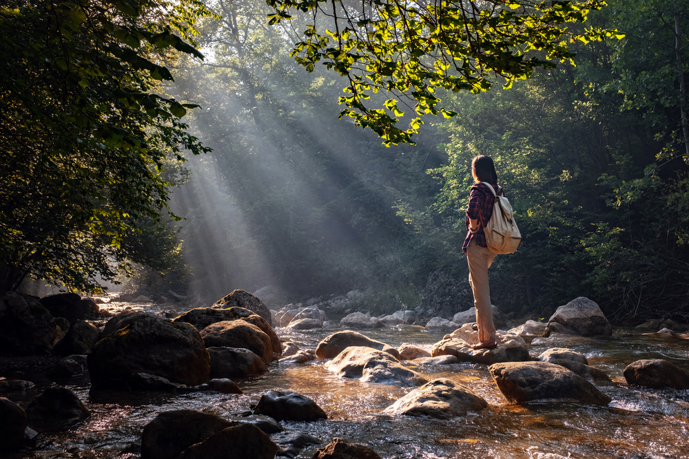 A woman explores new, magical, and fantastic places around the world, surrounded by nature and spreading her arms to breathe and relax. Female hiker crossing the forest creek.
