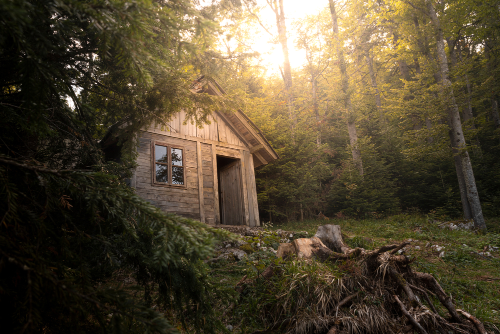 Wooden cabin in the woods at Tara mountain in Serbia

