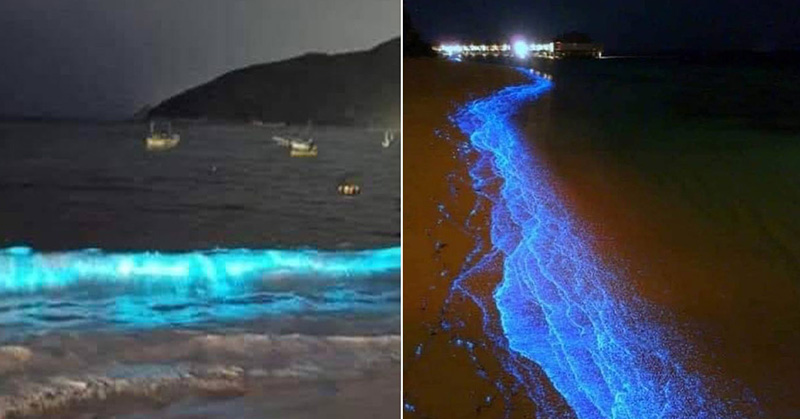 First Time In 6 Decades, Bioluminescent Planktons Light Up A Beach In Acapulco