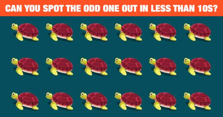 How Fast Can You Find The Odd Turtle In This Picture? - Featured image