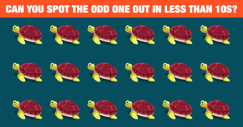 How Fast Can You Find The Odd Turtle In This Picture?