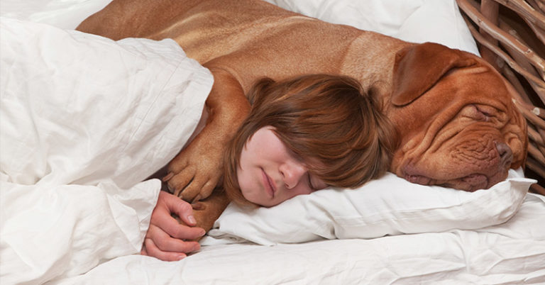 7 Surprising Reasons Your Dog Should Sleep On Your Bed Every Night - Featured image
