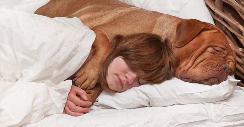 7 Surprising Reasons Your Dog Should Sleep On Your Bed Every Night - Featured image