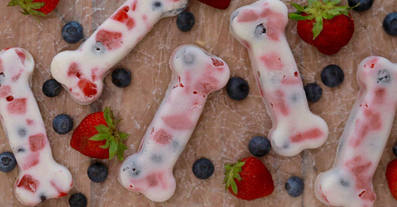 6 Homemade Frozen Dog Treat Recipes to Try This Summer