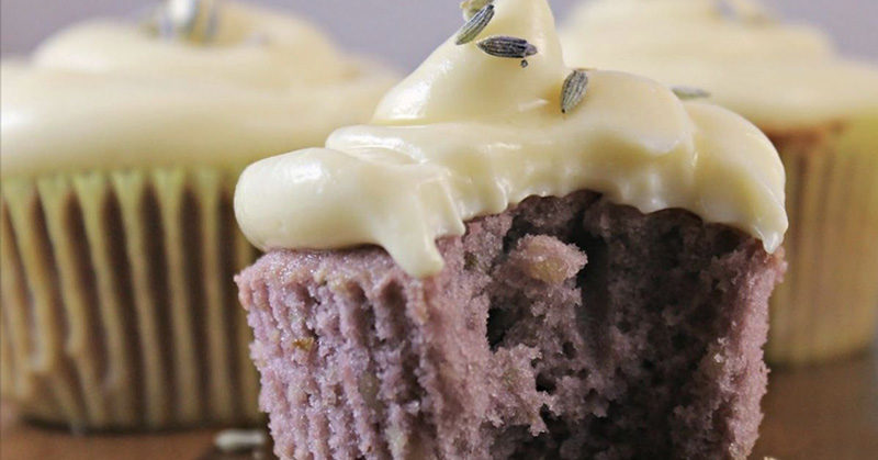 Lavender Cupcakes with Honey Cream Cheese Frosting (Gluten-free and Vegan Options)