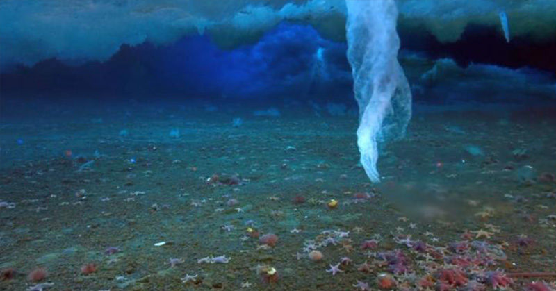 The formation of an ‘ice finger of death’ caught live on camera.