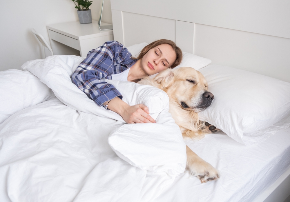 A girl cuddles her dog while lying in bed. A young woman sleeps in her bedroom with a golden retriever. A strong friendship between a pet and its owner.
