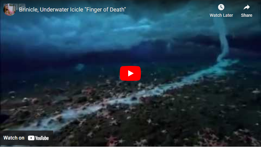 finger of death video