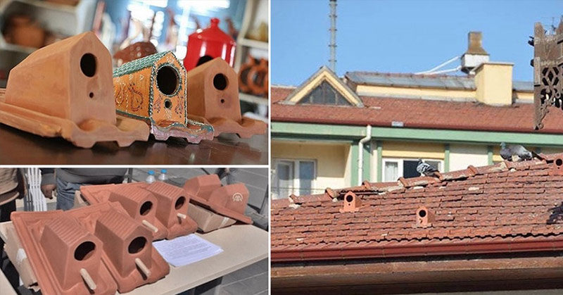 A factory started to produce roof tiles that serve as bird shelters