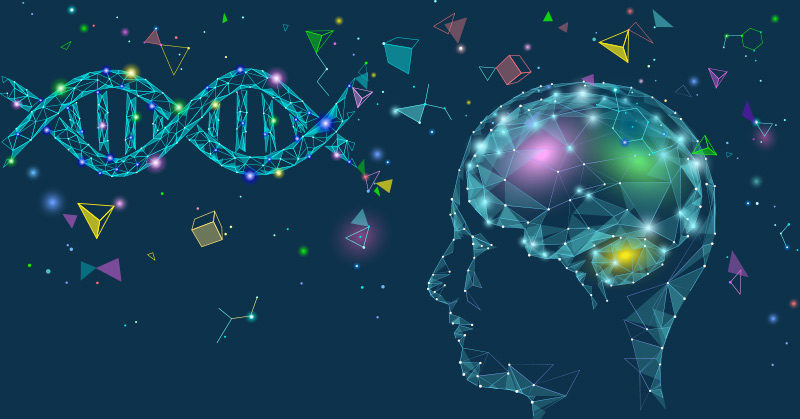 The Best Things You Can Do to Optimize Brain Function Now