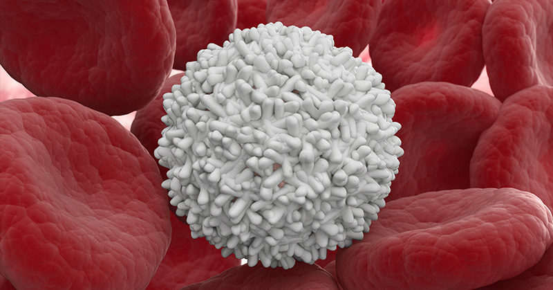 Autoimmune Experiments Switch Immune Cells From Attacking The Body to Protecting It