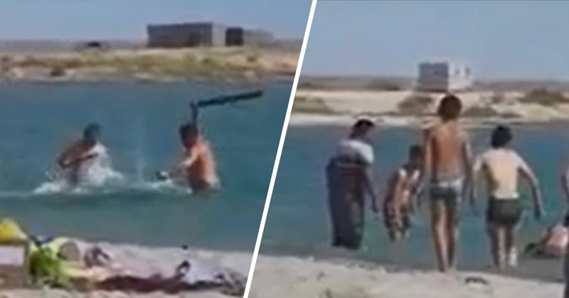 Seal Is Beaten Unconscious By Tourists So ‘Children Could Take Pictures With It’ - Featured image