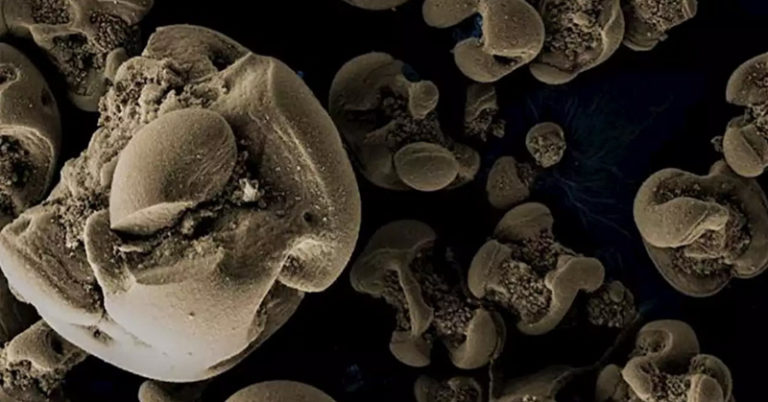 Bacteria that eat metal accidentally discovered by scientists - Featured image