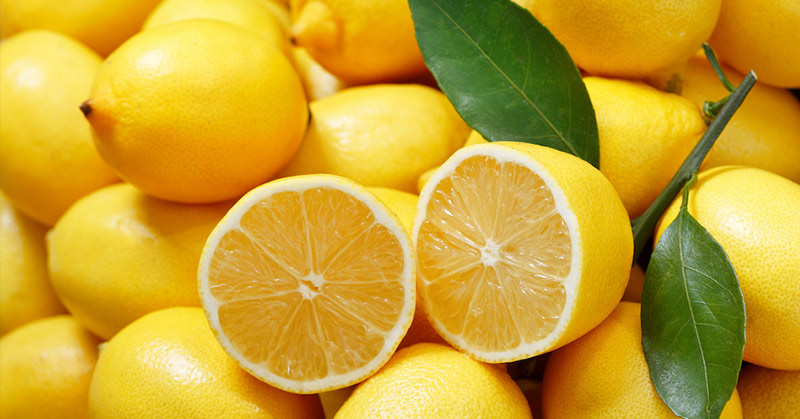 Why I Breathe, Eat, and Drink Lemons Daily and So Should You - Featured image