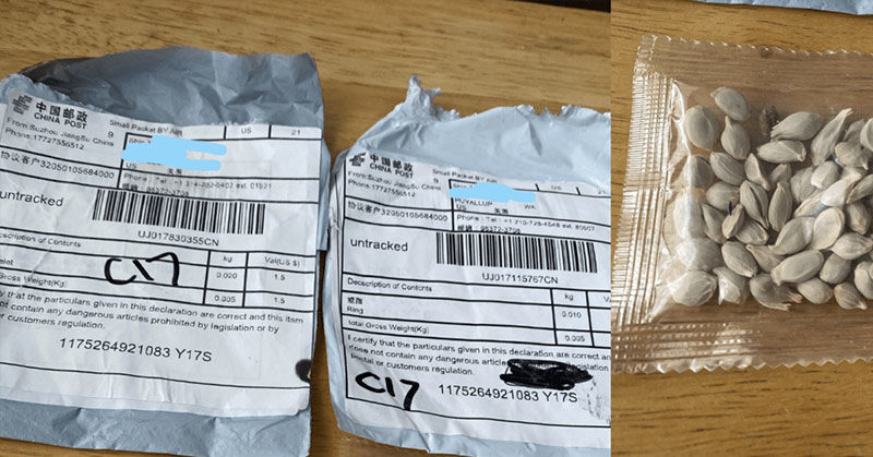 People All Over The USA Are Receiving Seeds In The Mail That They Did Not Order. Here’s What To Do If You Get Some