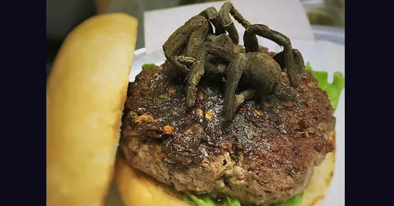North Carolina Restaurant Serving Tarantula-Topped Burgers - Featured image
