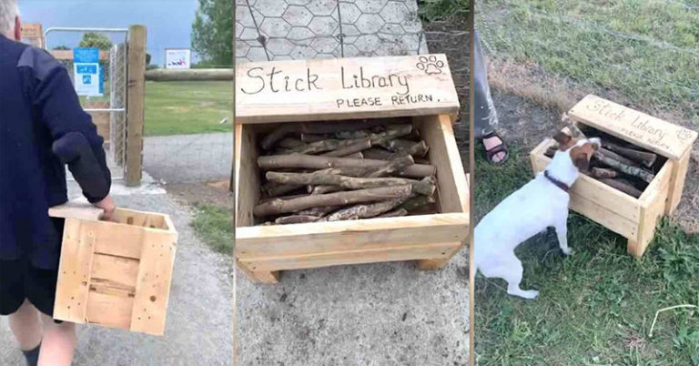After Noticing Lack of Good Sticks At Park, Dad Turns Old Tree Branches into ‘Stick Library’ for Neighborhood Dogs - Featured image